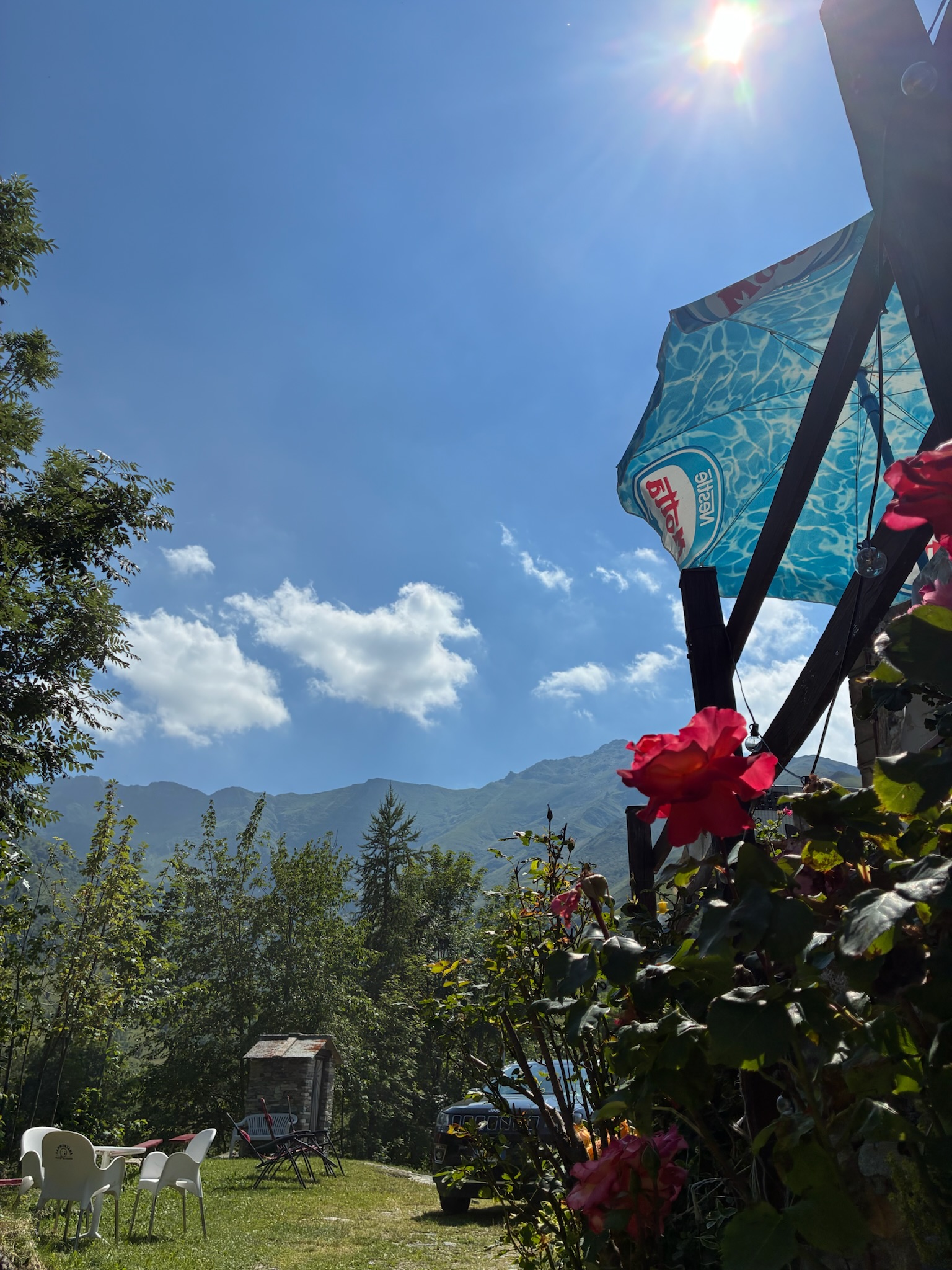 Il dehors fiorito con vista sulle montagne